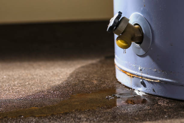 Best Water damage restoration specialists  in Fairdale, PA
