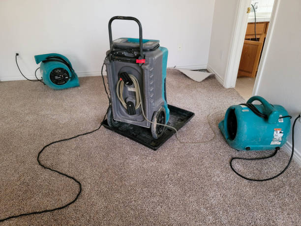 Best Local water damage restoration  in Fairdale, PA