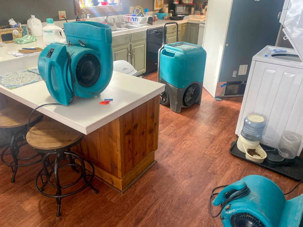 Best Flood damage cleanup  in Fairdale, PA