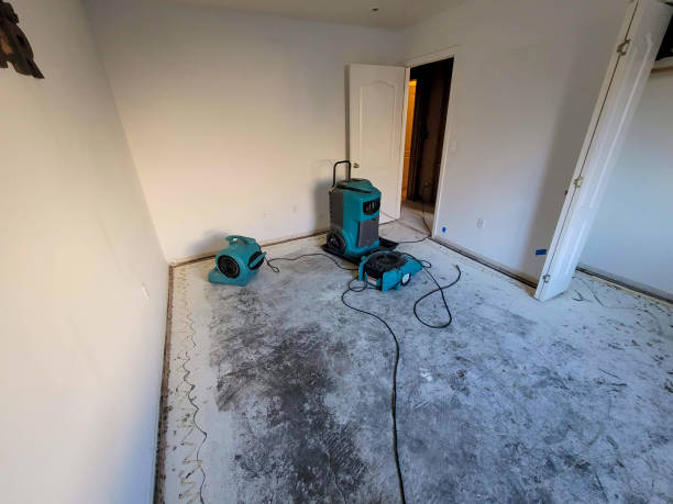 Best Ceiling water damage repair  in Fairdale, PA