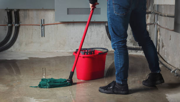 Best Carpet water damage restoration  in Fairdale, PA