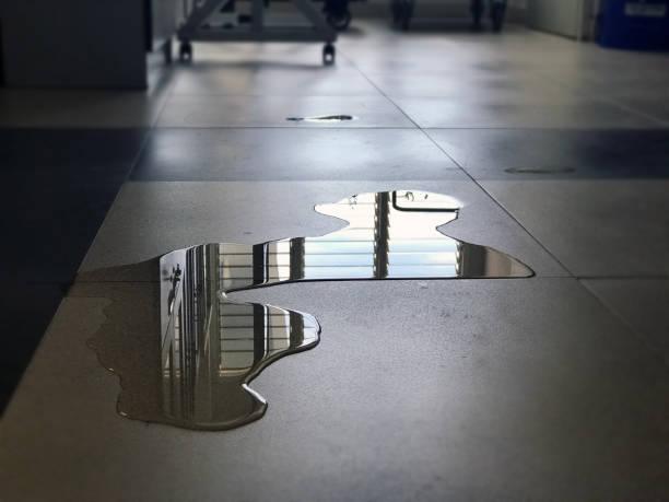 Best Carpet water damage restoration  in Fairdale, PA