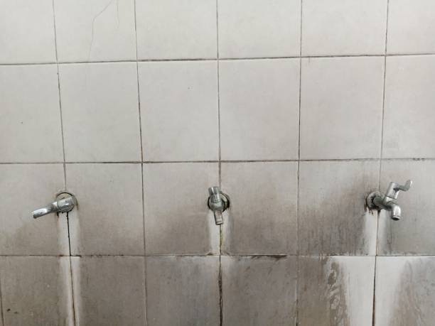 Best Sewage cleanup and water damage restoration  in Fairdale, PA